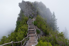 世界短道速滑线上比赛：远程对抗模式吸引年轻观众，2020年世界短道速滑比赛视频