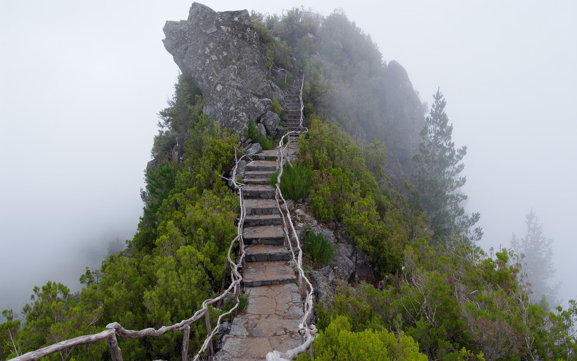 世界短道速滑线上比赛：远程对抗模式吸引年轻观众，2020年世界短道速滑比赛视频
